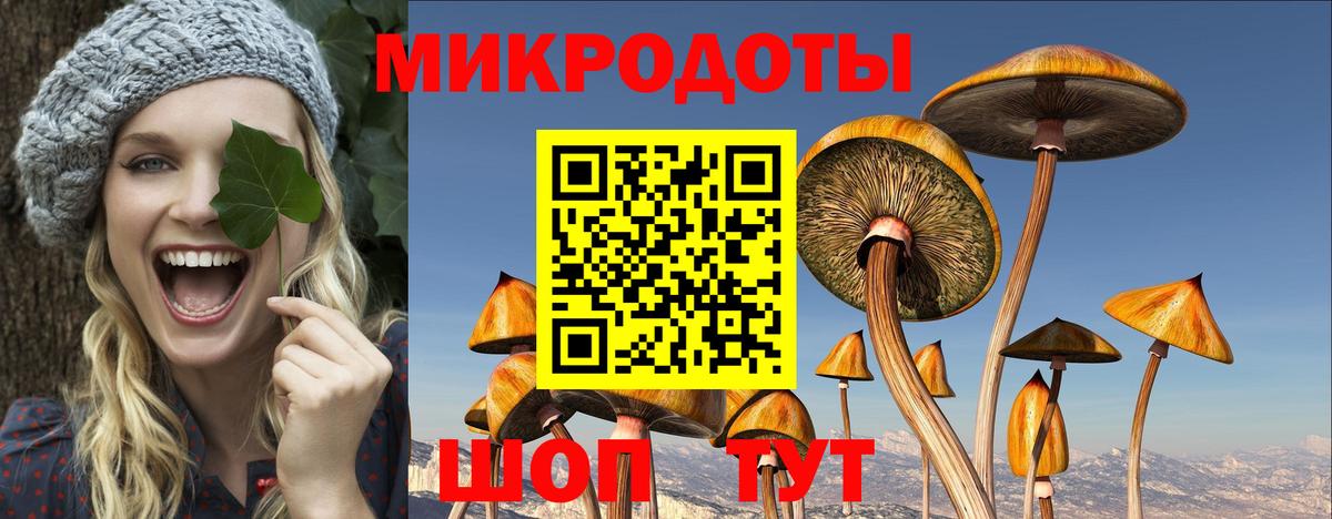 Галлюциногенные грибы Cubensis Белгород